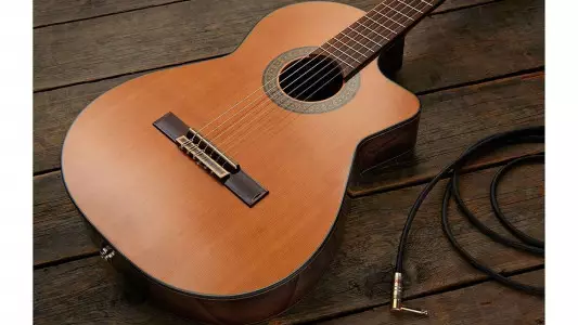 رنگبندی و تعمیر گیتار آدمیرا a5